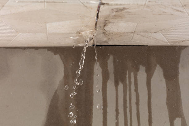 Professional Flood Damage Cleanup technician working in Farmersville, CA